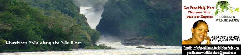 Uganda Murchison Falls Tour and Safari